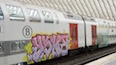 Kratz- und Graffitischutz